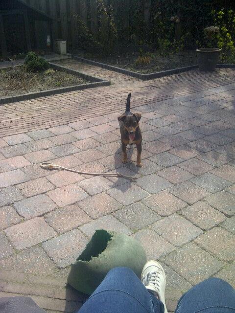 romyvzon's tweet photo. Lekker in de zon met mn kleine vriend http://t.co/KTzuVY1MpP