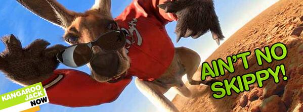 9Go's tweet image. Marsupial with attitude! #KangarooJack