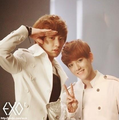 ภาพลิงค์ที่แปะไว้