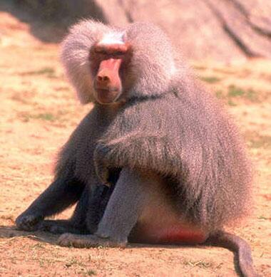 viryain_'s tweet photo. Aunque parezca mentira me pongo colorada cuando me miras, me pongo coloraaaaada http://t.co/xiJ8HqqUFu