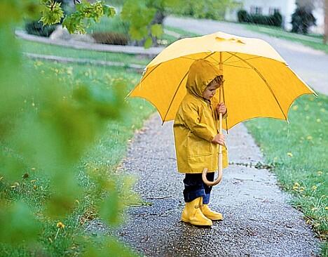 FarmersMarketSS's tweet photo. Don't let the weather keep you from fresh veggies... We're open rain OR shine, so grab your umbrella &amp; come see us! http://t.co/4kC1Phg5WQ