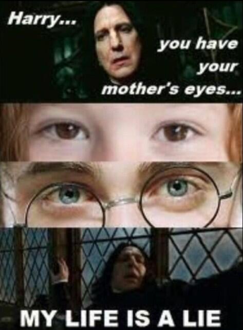 Harry Potter Memes - Memes for Lifee