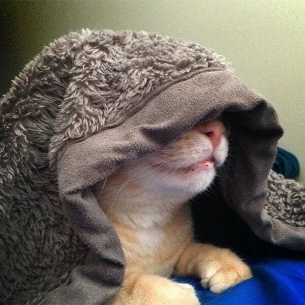 MindyKohn's tweet photo. The dark side suddenly doesn't seem so bad. #maythe4thbewithyou #starwars http://t.co/neKP8t8Ma9