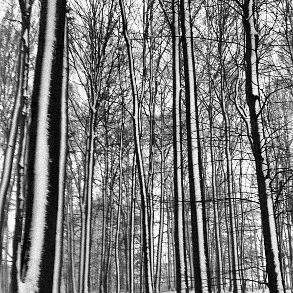 NGaus's tweet photo. SNOW! http://t.co/QHr05UuFq2
