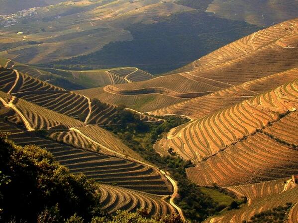 beatifulearth's tweet photo. Duoro, Portugal. http://t.co/kx5rZIRYMQ