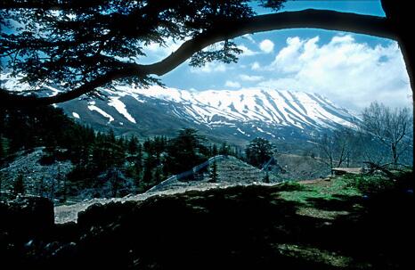 beatifulearth's tweet photo. Amazing landscape of Beirut in Lebanon. http://t.co/1bcBewv9MU