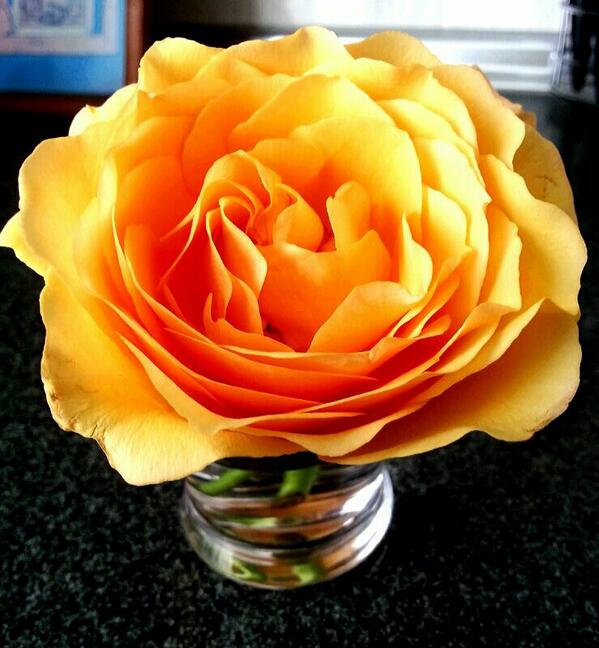 Lau_me4's tweet photo. Por fin ha llegado la primavera! http://t.co/jIn9b5Yki0