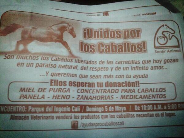AndreaMayorRest's tweet photo. Te esperamos este domingo en el parque el ingenio para donar por los caballos carretilleros rescatados @adncali http://t.co/fnG4iQx1k2