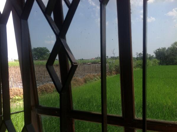 anondho's tweet photo. Sawah dari jendela kamar.... http://t.co/FaCMVtIh4y