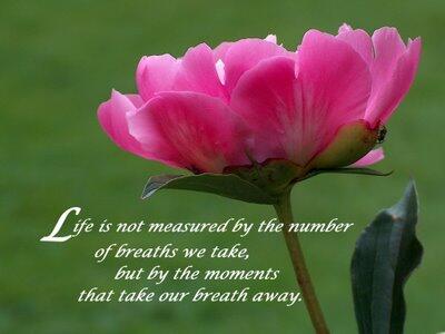Life is not measured by the number of breaths.......