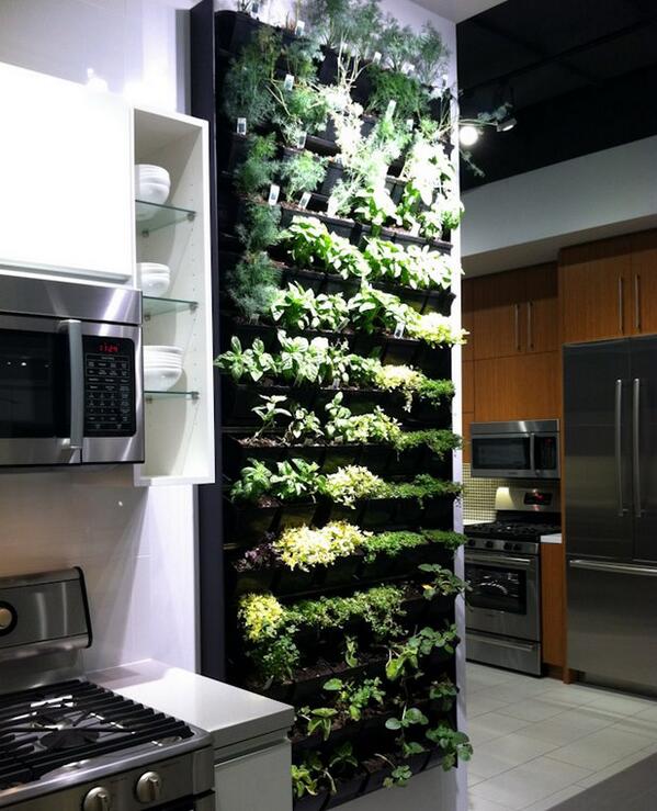 MiracleMethodNY's tweet image. Do you have an herb garden in your kitchen?