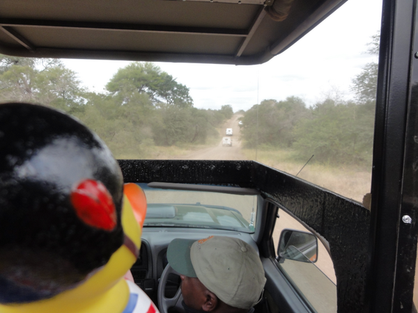 GAdv_george's tweet photo. So I went for a little drive in the park #insouthafrica http://t.co/Ga10azA4PC
