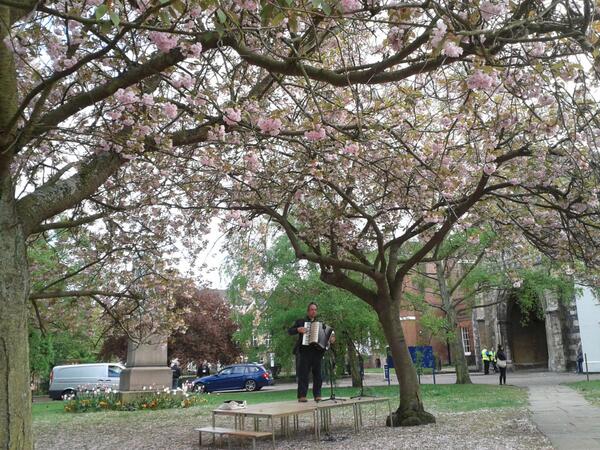 Alice Spalding tweet media