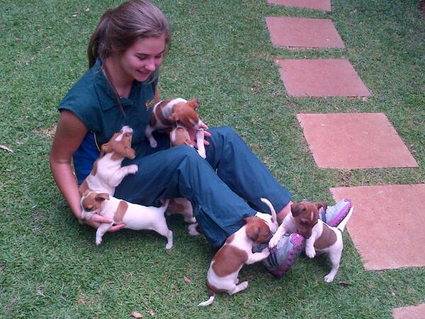 Cutest puppies ever :D♥