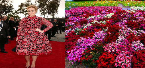 WhoWoreltBetter's tweet photo. Adele or flower bed http://t.co/A1wiVUdMl8