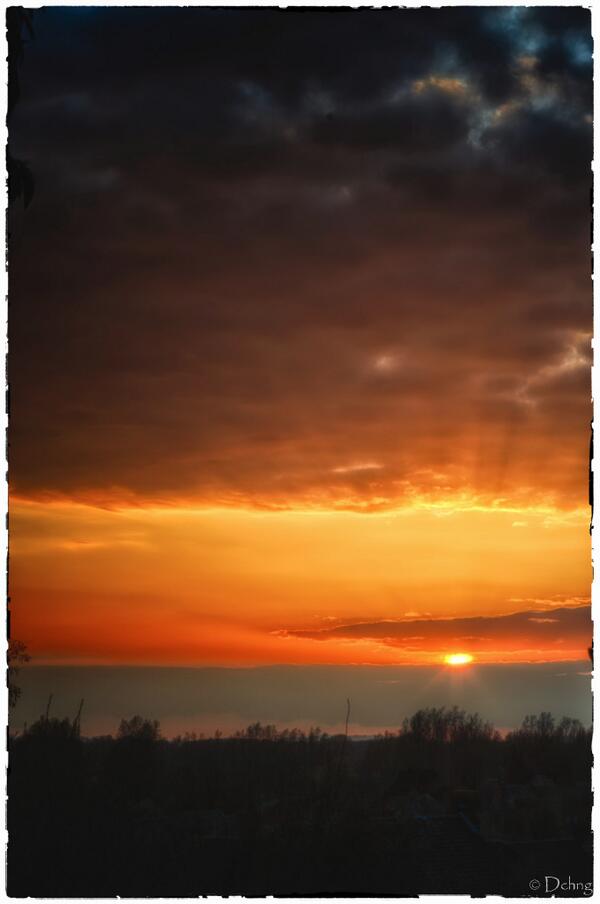 ngchiheng's tweet image. #MonkeyLogic #ThatWasExhausting #TimeForABreak