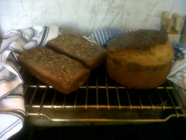 deekoppang's tweet image. Boom. Did it! Kind of. #myfirstbread