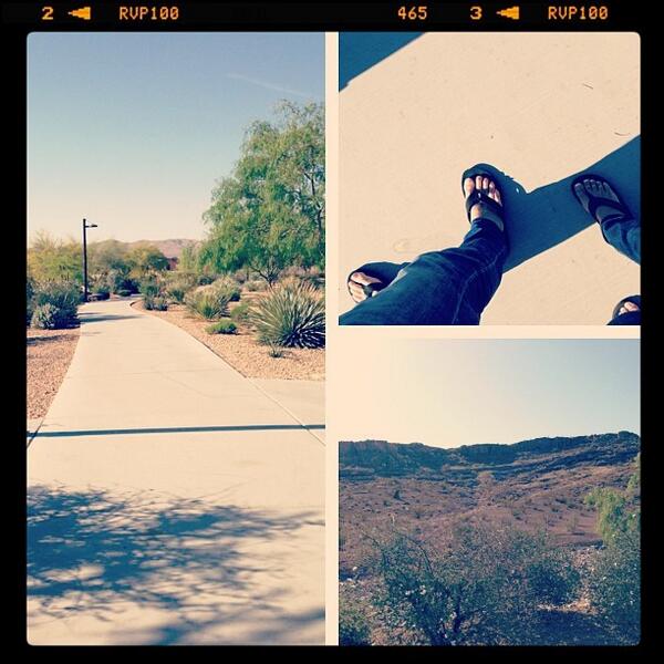 ZapposCulture's tweet image. We love Saturday morning walks in the park 💕 #eyezapp #corevalue4 #zapposinstachallenge by heytherej9