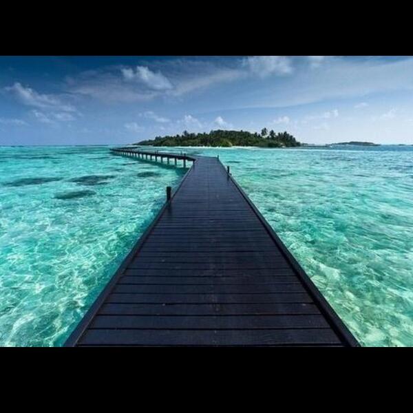 Böyle bir yolda yanınızda kimi isterdiniz ;)