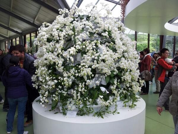 Hier ons arrangement. 1e plaats!