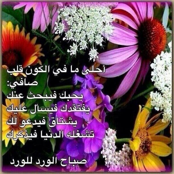 Ø´ÙØ´Ù on twitter http t co lumgarqchq twitter