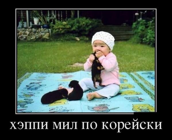 smail82smail's tweet photo. #юмор http://t.co/WId1KLKs01