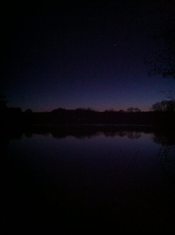 StacieKrause's tweet image. 💙💜💚🐸 #beautiful #night #springpeepers