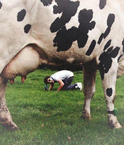 NiallOfficialTM's tweet photo. RT si saves quien es dhkhfdfhjljgda http://t.co/4UM7Gwvx4u