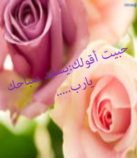 awt495's tweet photo. @AMAL_SAUD1 http://t.co/1TgrwpSKqP