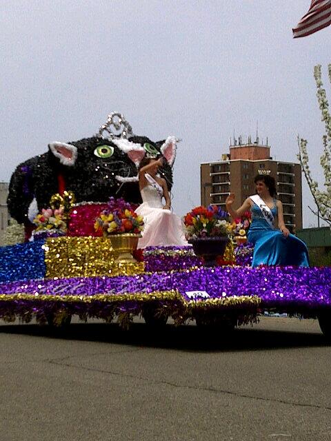 lovecats1516's tweet image. Buchanan HS Community float theme: "Princess Diaries" #SWMichiganUSA #blossomtimeparade #catfloat HOW COOL IS THAT!