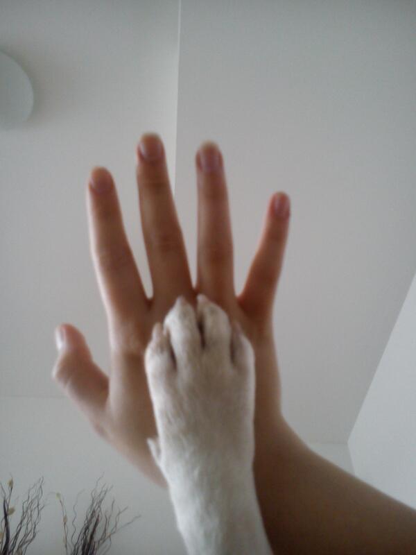 runathule tweet picture