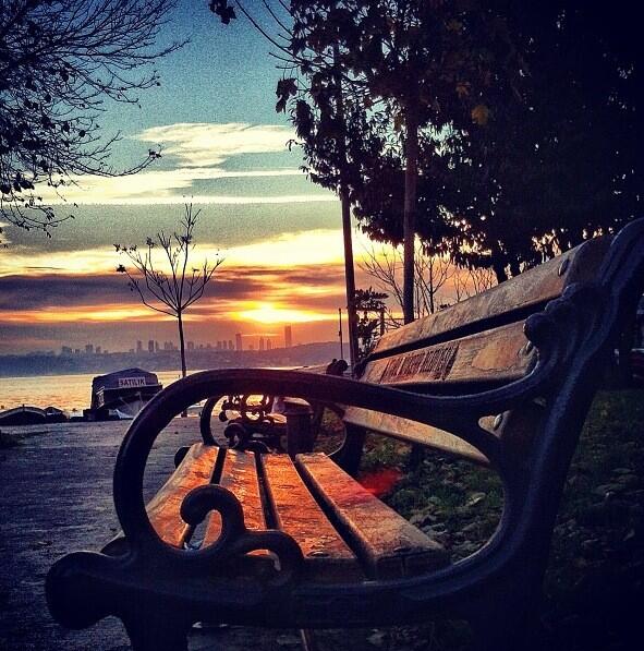 3isha Aldossary tweet media