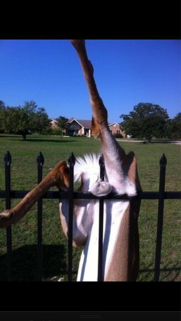 #bad #day #think #again #couldbeworse <a href="/steveolewis/">Steve Lewis</a> <a href="/chrispydavies19/">chris</a>