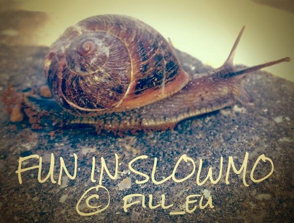 FILL_EU's tweet photo. Lazy Funday #Fun #Education #FILL_EU http://t.co/DctWmA1HdY