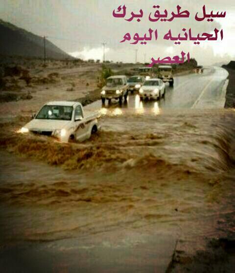 -((((عاشق البر))))- (@qrksa791) on Twitter photo 
