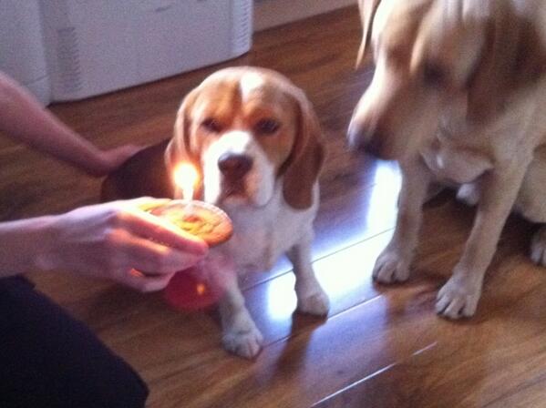 &amp; I got a cake!!