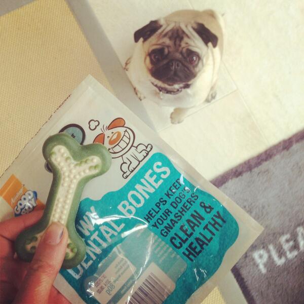 Pomme McNab-Cairns tweet media