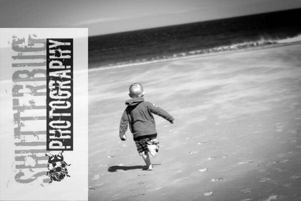 shutterbugfoto tweet picture