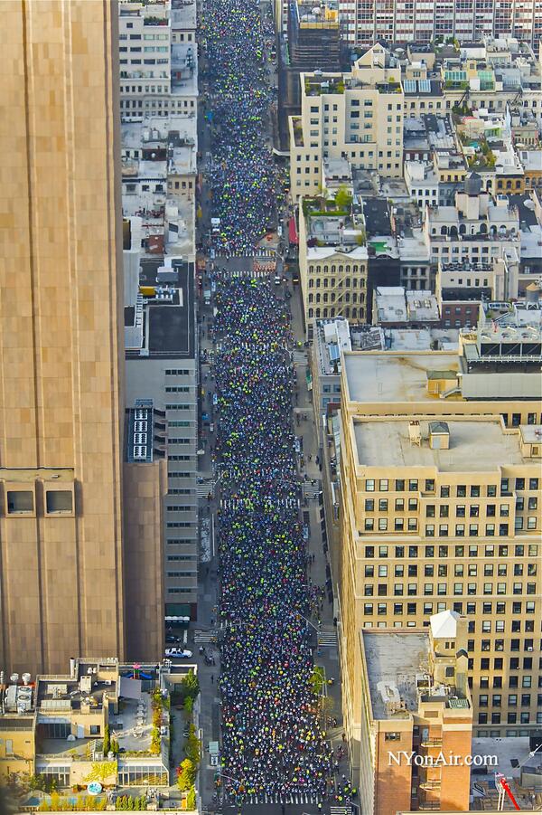 Anna Shearer (@highanna) Twitter