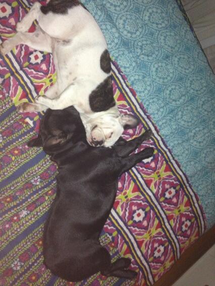 paulitachaves's tweet photo. Amor puro! http://t.co/jmTxfW2FLr