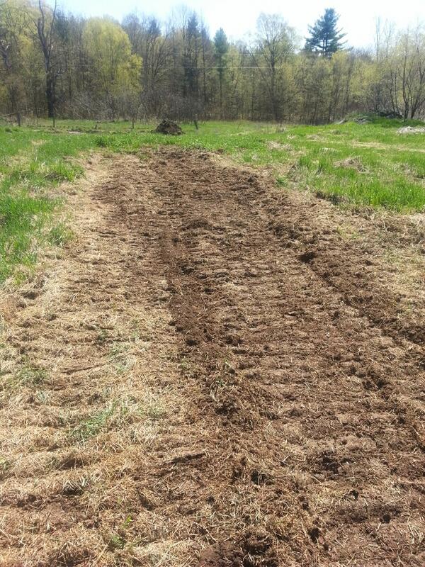Future location of the #hopsyard. Posts and rhizomes will be in ground nxt week. #localbrew #hops