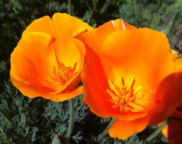 iQuadTK_MO's tweet photo. Nature colors are Awesome! http://t.co/fayrV3jcT5