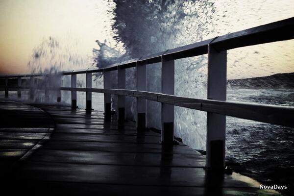 Nova Days tweet media