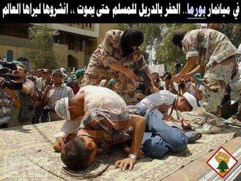 NnHsa's tweet photo. فـِ♡ـيْ بورما http://t.co/Fc3aM7lSdD