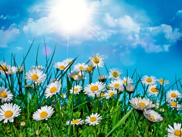 MegLovesWaffles's tweet photo. Summer is finally here!! #hooray http://t.co/NIU4teFXgX