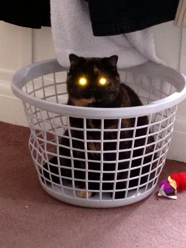 carolinej42's tweet photo. I need a wash mum http://t.co/aKmkeKo9YU