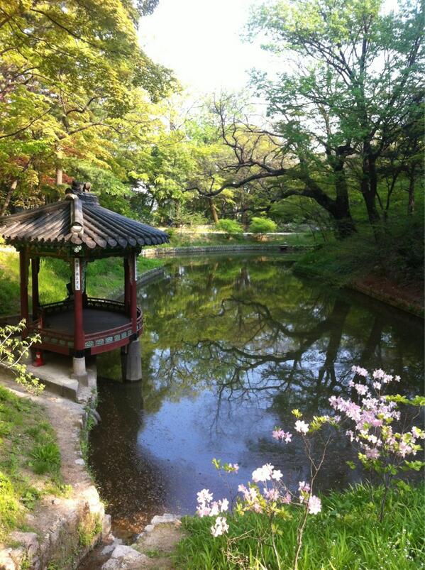 macstone36's tweet photo. 궁! http://t.co/cj2BSjj3pC