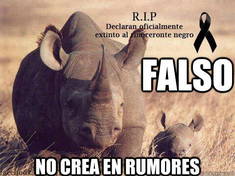 encantadoperros's tweet photo. Falsos rumores por extinción del rinoceronte negro, no crea en todo lo que te dicen http://t.co/DJR73RKQ0R http://t.co/CaJEsMxNtP