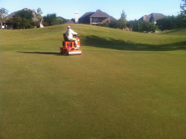One roll today, one more in morning and a light topdress 18-9-18 to follow
