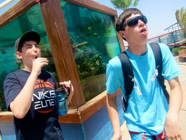 Jordan_Gold0's tweet image. One year since Israel @vcfanben #missthatplace